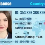 Life License